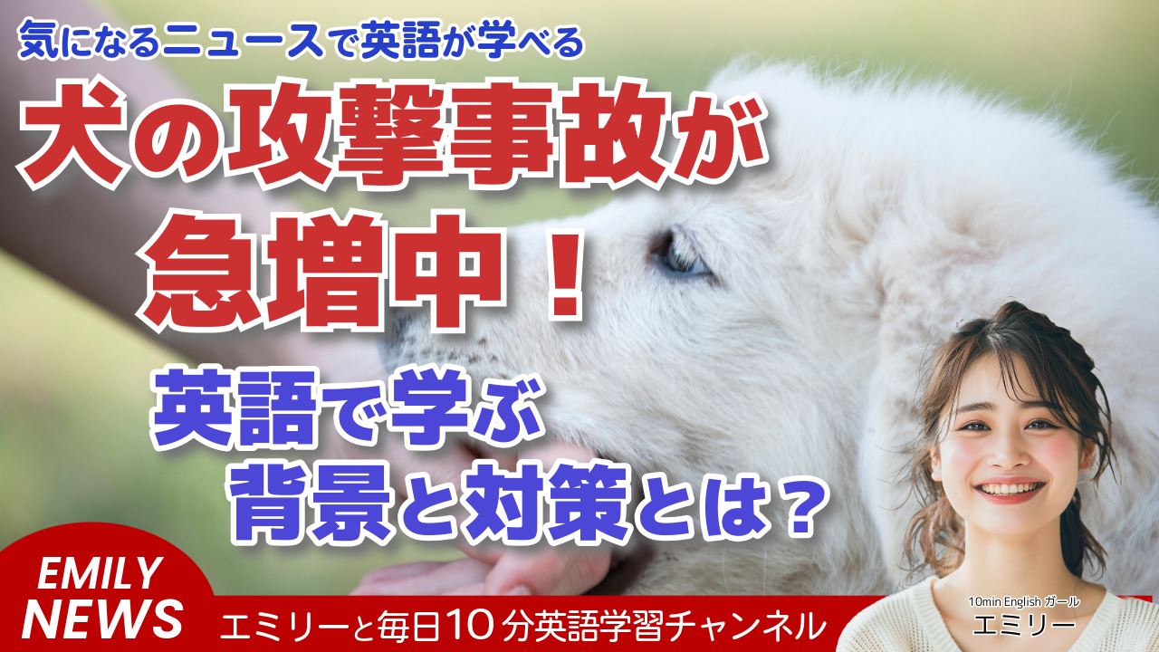 気になる英語ニュース！犬による攻撃と死亡事故が増加。対策をめぐって近隣住民同士の対立が深刻化