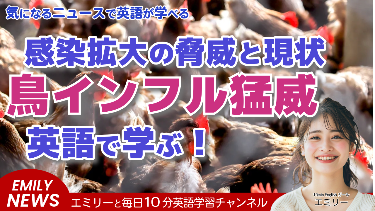 鳥インフルエンザ最新情報：アイオワ州で420万羽の感染鶏が殺処分へ、アルパカでも症例確認