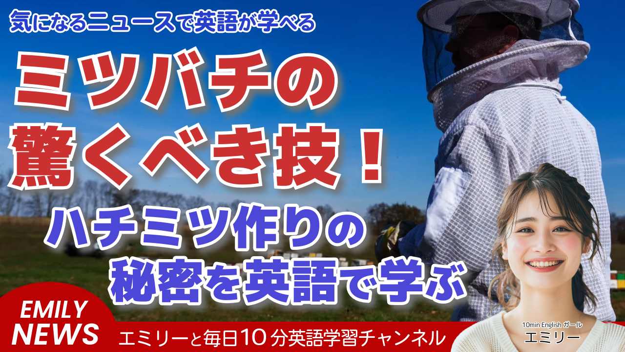 気になる英語ニュース「ミツバチはどうやってハチミツを作るの？科学者が複雑なプロセスを解説」