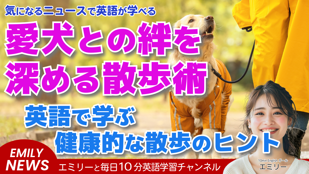 気になる英語ニュース「愛犬との散歩、どのくらいの頻度と時間が理想？健康的な散歩のコツ」