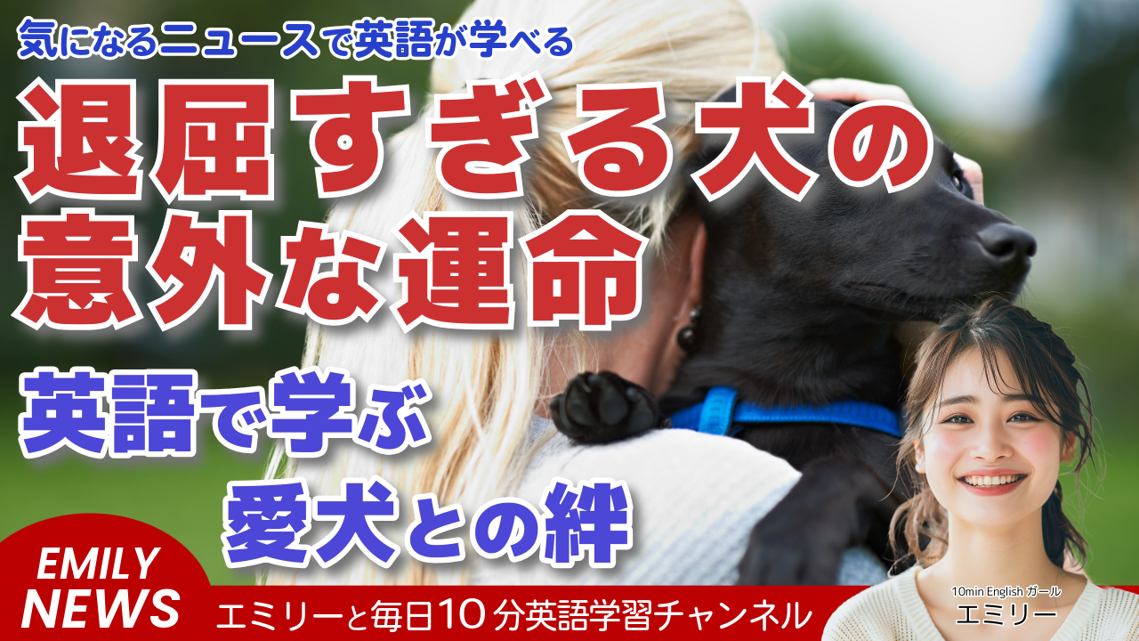 気になる英語ニュース「『退屈すぎる』と返却された犬、新しい家族と幸せな出会い」