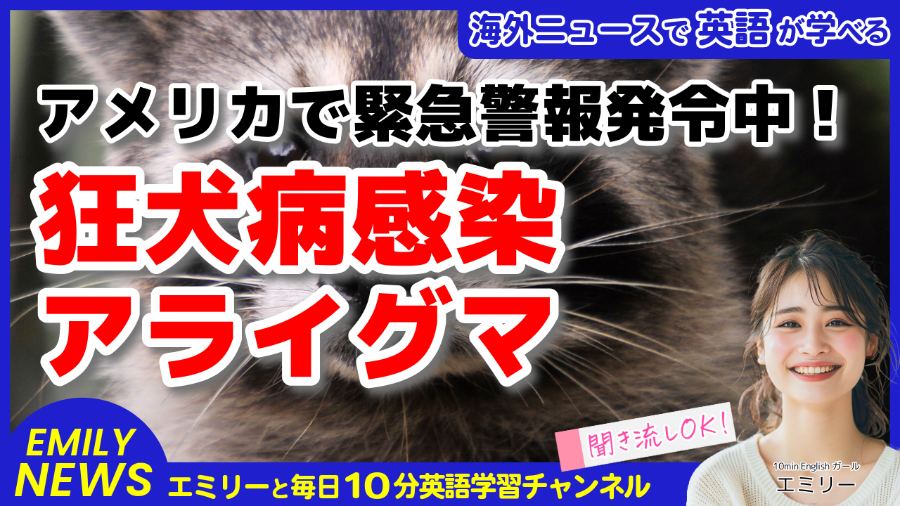 気になる英語ニュース「メリーランド州で狂犬病感染アライグマが見つかる！緊急警報発令」