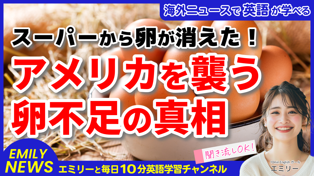 気になる英語ニュース「全米で卵価格が記録的高騰！鳥インフルエンザの影響で店頭から姿を消す」