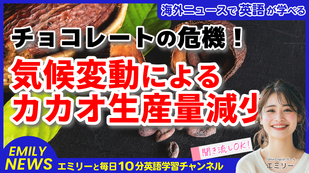 気になる英語ニュース「チョコレート市場に危機！気候変動による生産量減少で価格が記録的高騰」