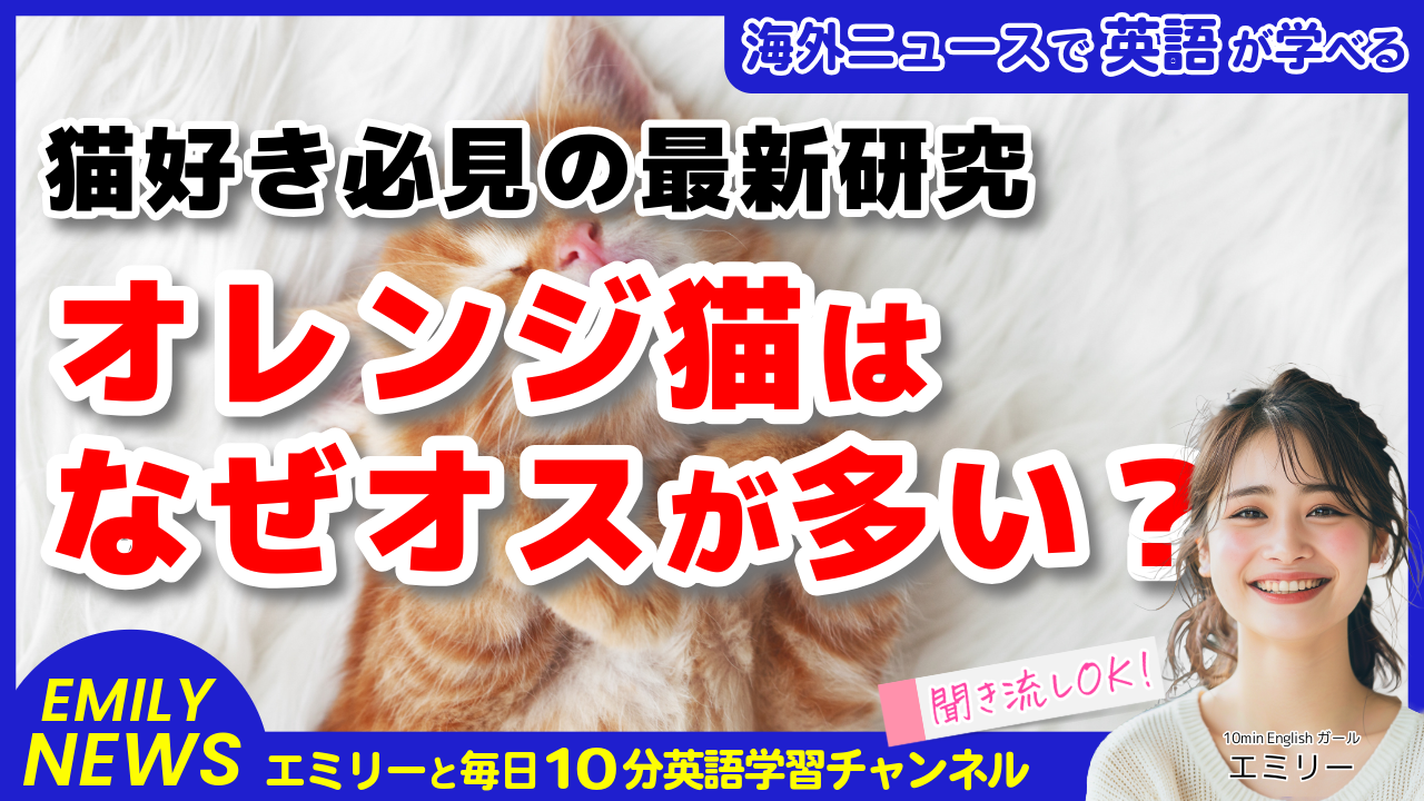 気になる英語ニュース「オレンジ猫の謎がついに解明！遺伝子"ミャウテーション"の正体」